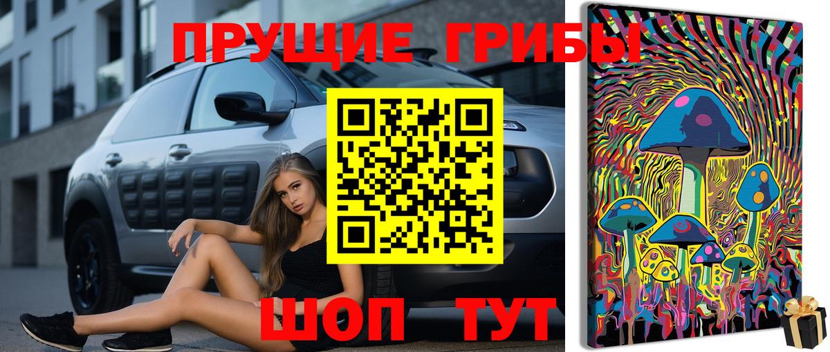 Галлюциногенные грибы Psilocybine cubensis  Вход с VPN  Новокубанск  Псилоцибиновые грибы Psilocybe 