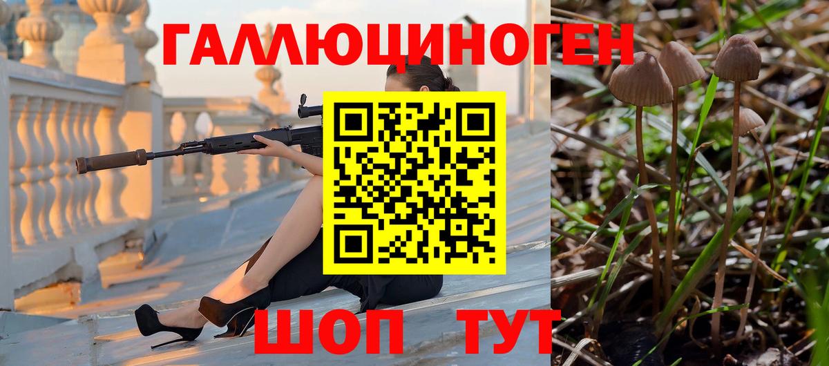 Псилоцибиновые грибы GOLDEN TEACHER Новокубанск